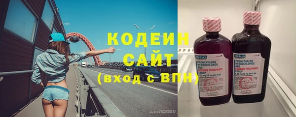 дмт Осташков