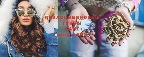 дживик Нягань